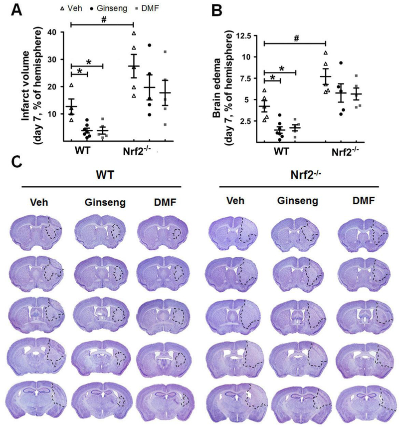 Figure 11.