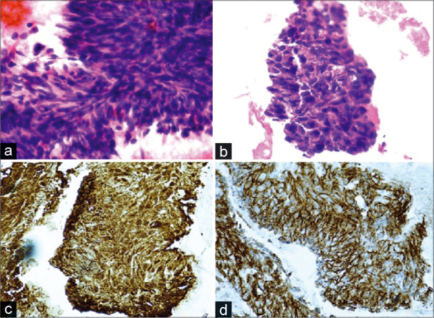 Figure 1: