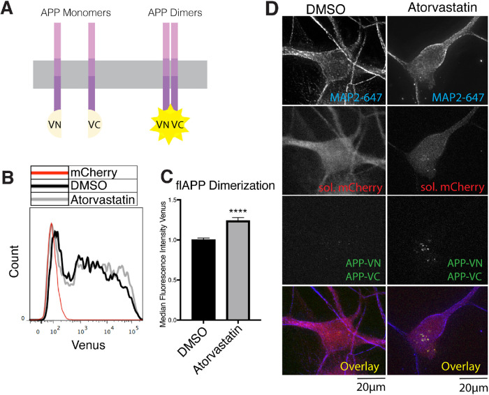 FIGURE 6: