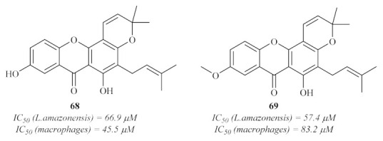 Figure 29