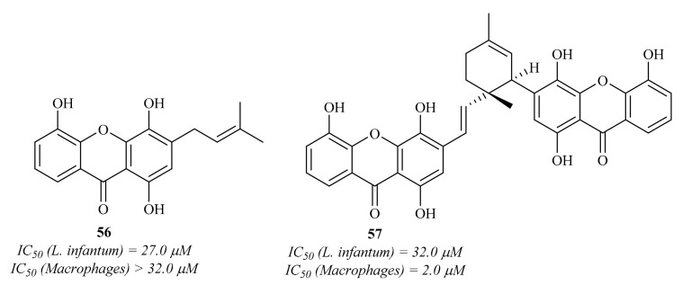 Figure 22