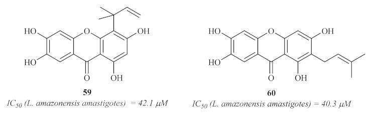 Figure 24