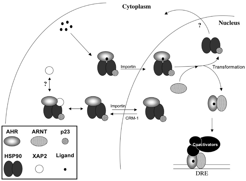 FIGURE 1