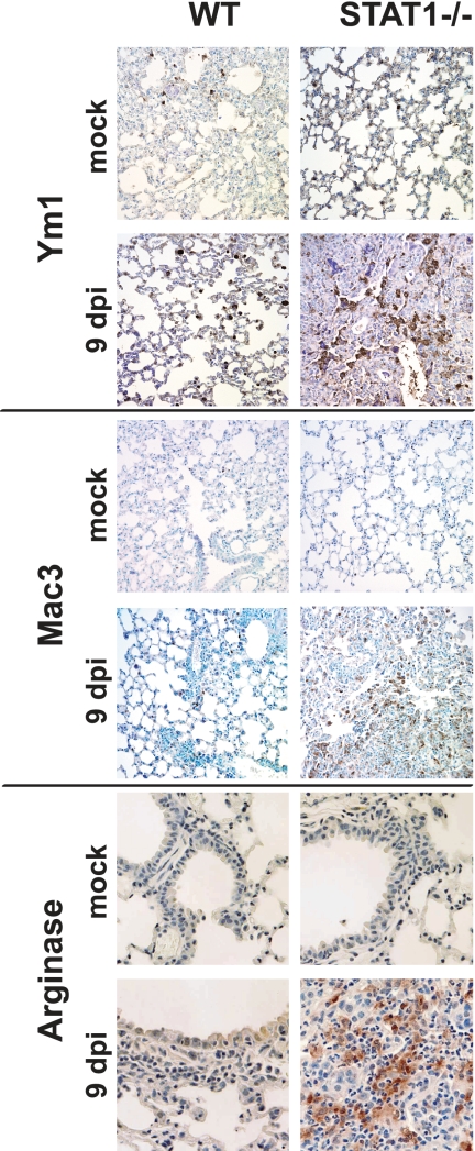 FIG. 8.