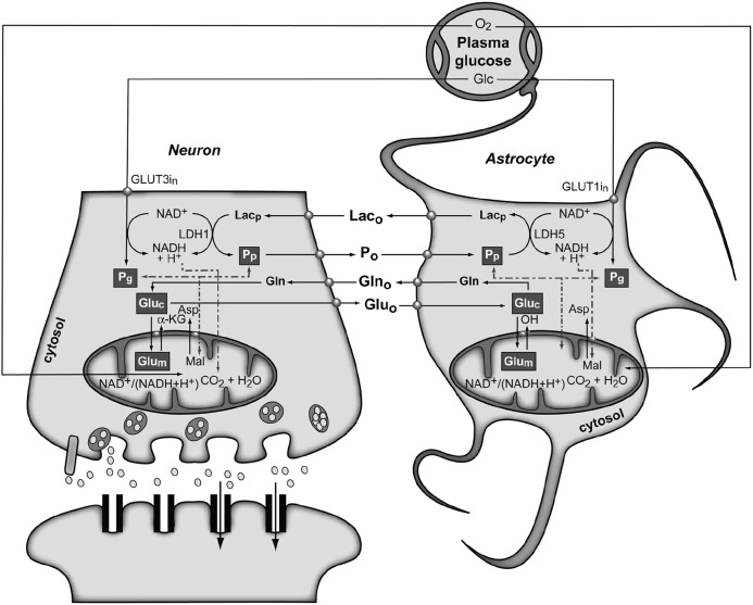 FIGURE 4