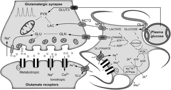 FIGURE 3