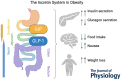 Graphical abstract