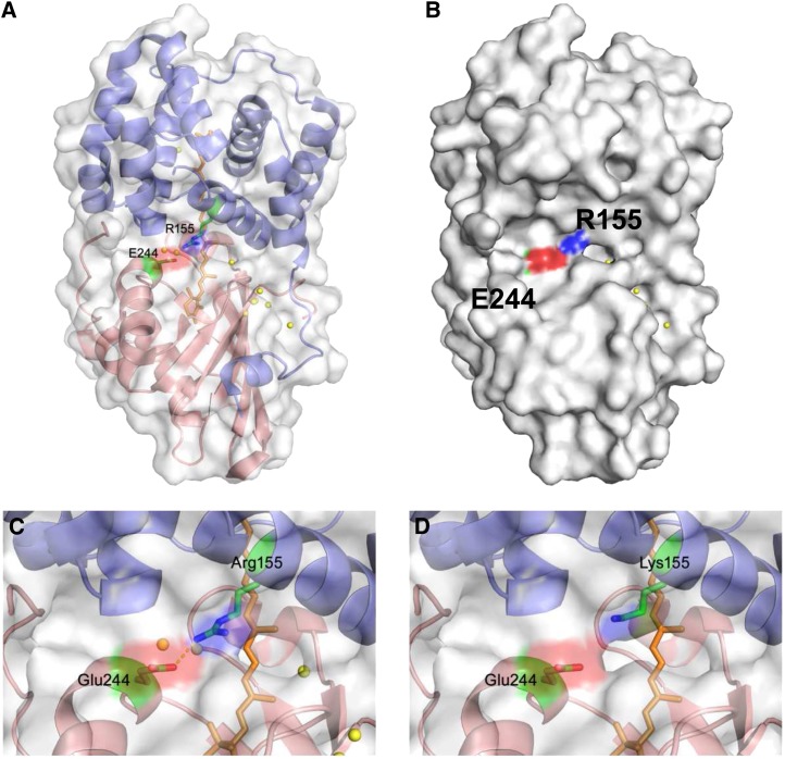 Figure 1.