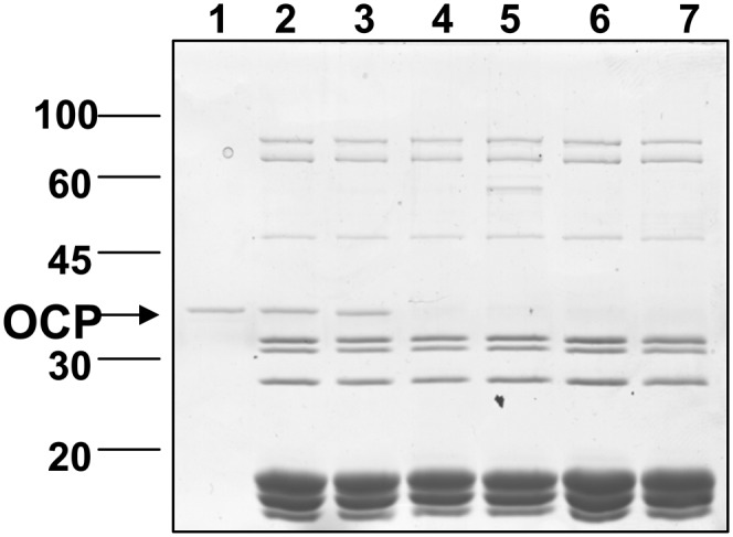 Figure 7.