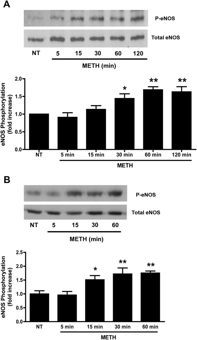 Fig. 6