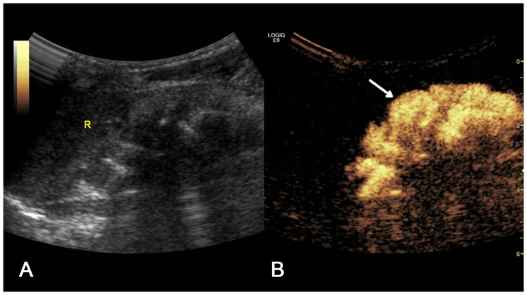 Figure 7.