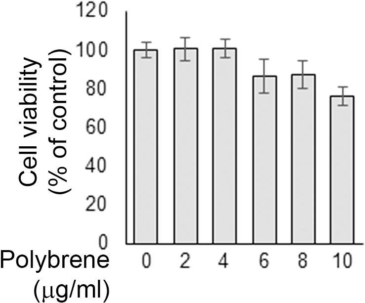 Fig. 4