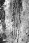 440-3