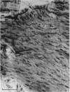 440-1
