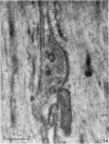 440-4