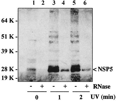 FIG. 8.