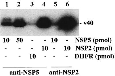 FIG. 5.