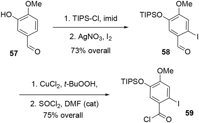 Scheme 16