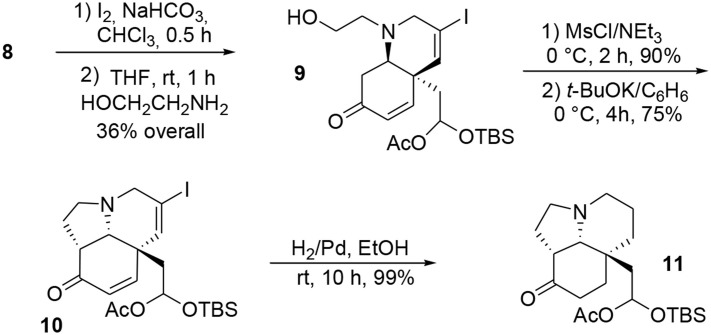 Scheme 2