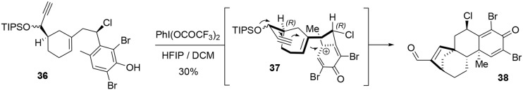 Scheme 7