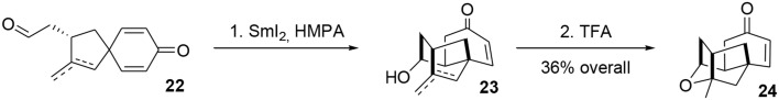 Scheme 6