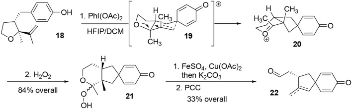 Scheme 5