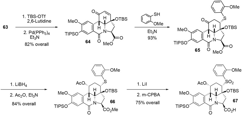 Scheme 18