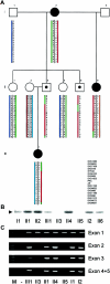 Figure  2