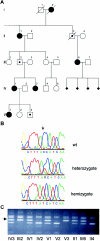 Figure  3