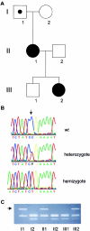 Figure  4