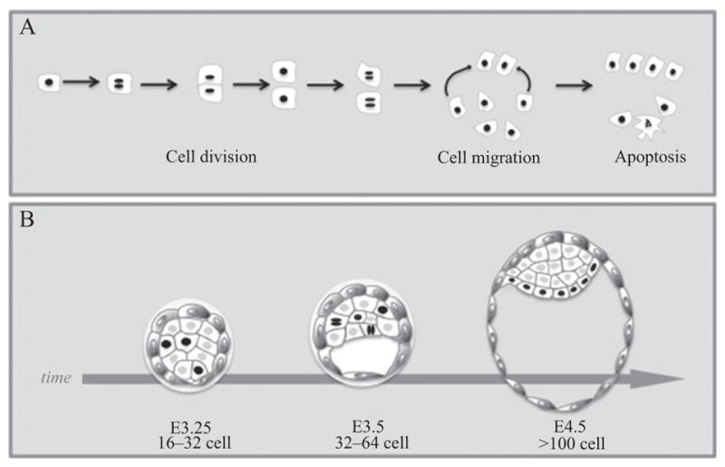 Figure 18.2