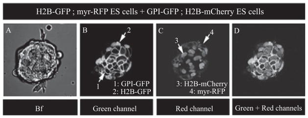 Figure 18.3