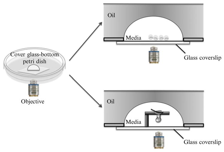 Figure 18.6