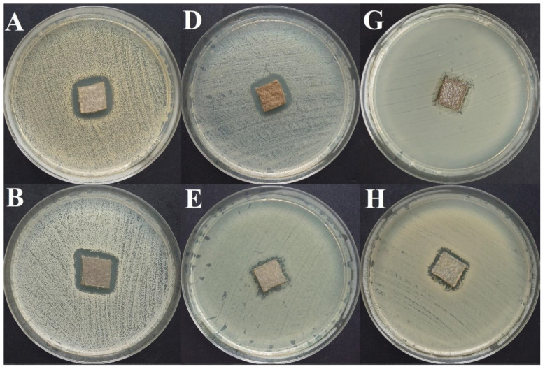 Figure 15