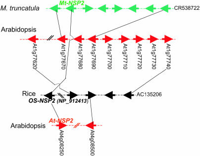 Figure 5.