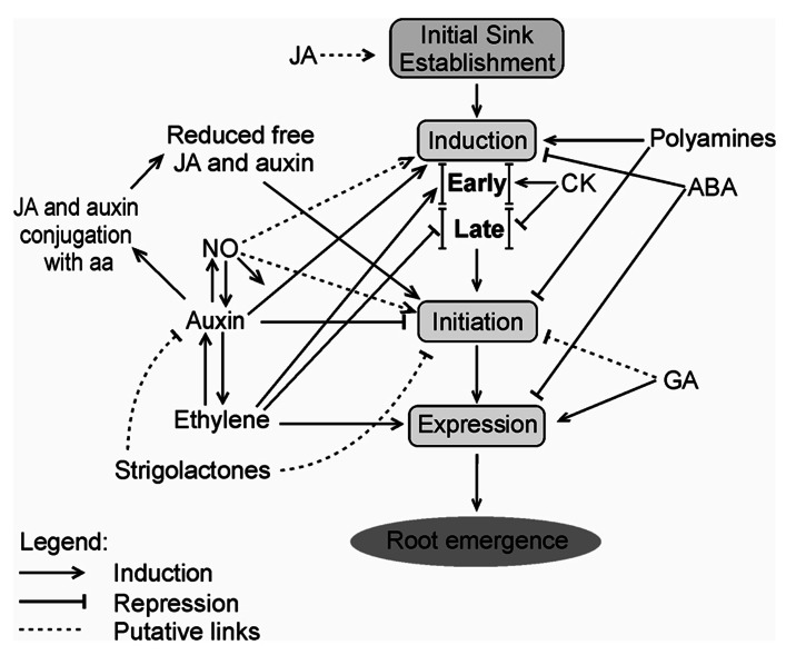 FIGURE 1