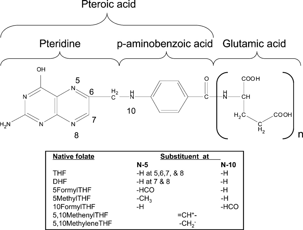 Fig. 10.2