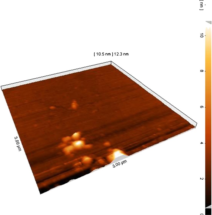 Fig. 2