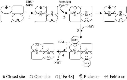 FIG. 3.