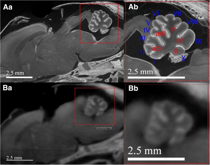 Fig. 5