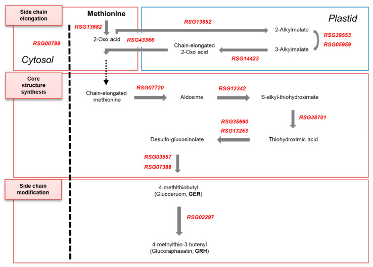 Figure 9