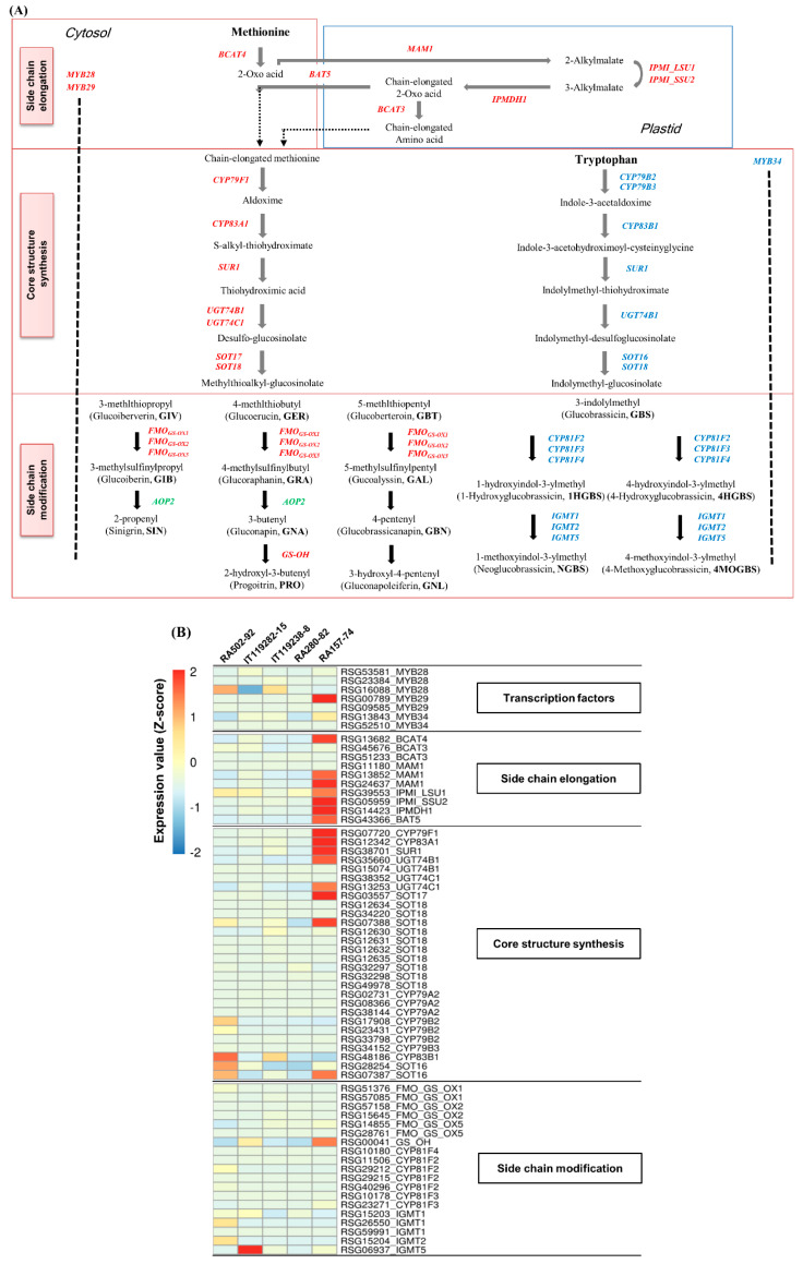 Figure 4