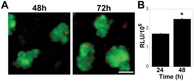 FIGURE 3