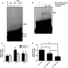 Fig 9