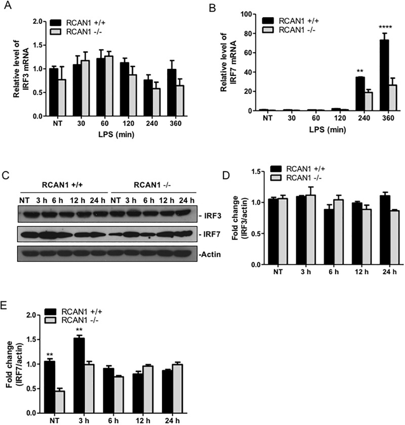 Fig 4