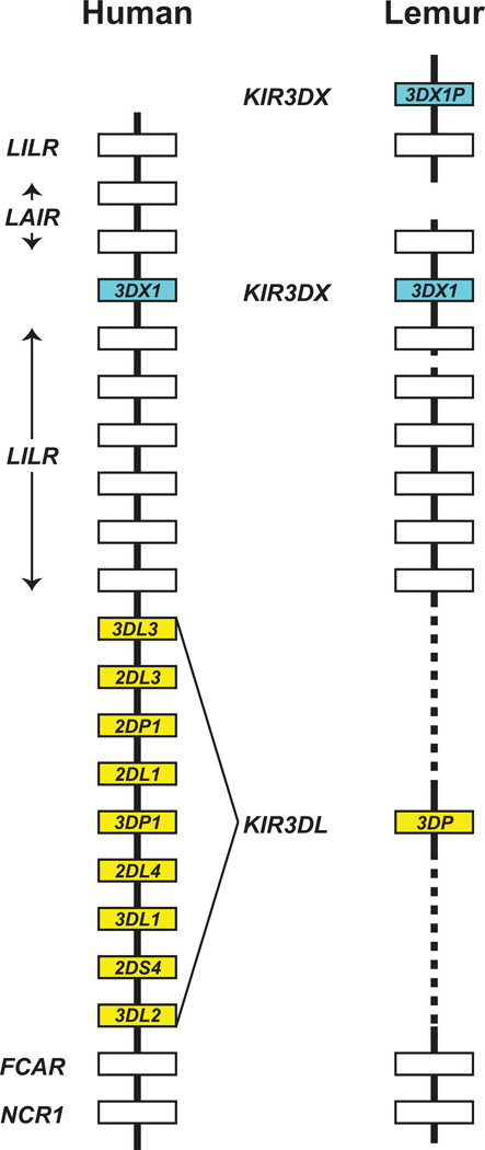 Figure 8