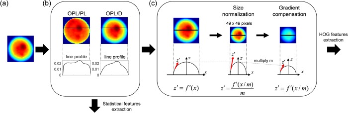 Fig 4