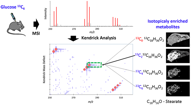 graphic file with name nihms-1863863-f0004.jpg