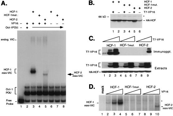 FIG. 6