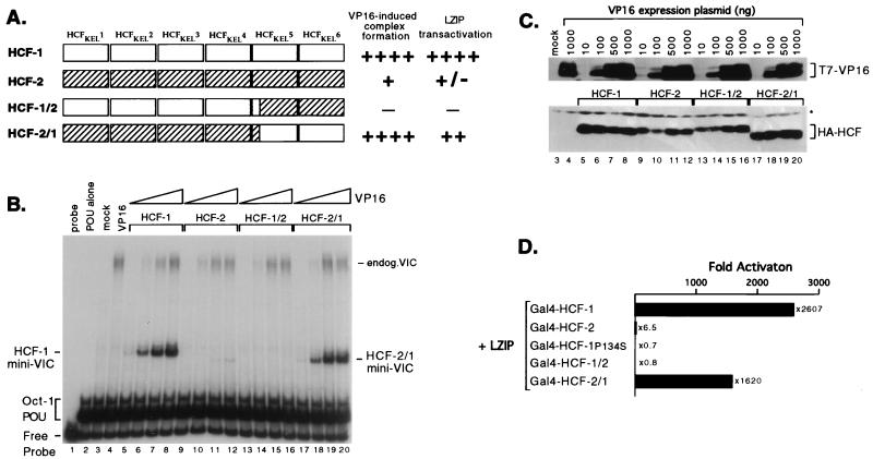 FIG. 8